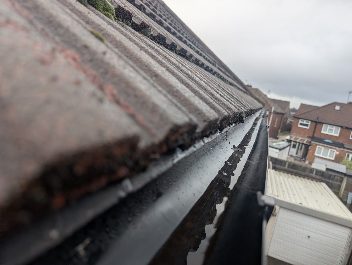 Blocked, mossy gutters