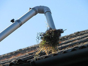 Commercial Gutter Clearance in Cuffley