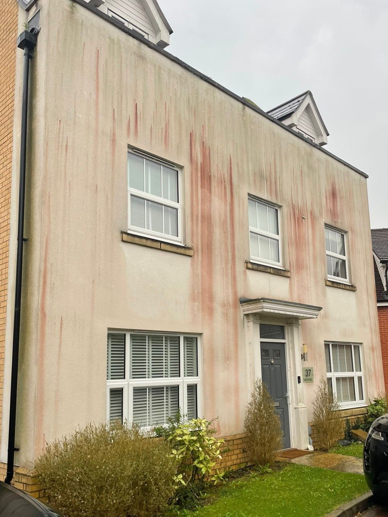 Harlow before cleaning